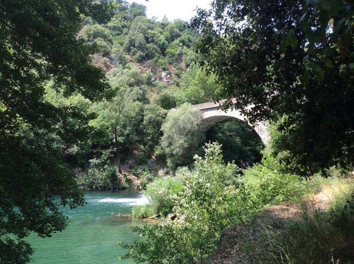 Camping Le Parc Des Monges Ξενοδοχείο Auribeau-sur-Siagne Εξωτερικό φωτογραφία