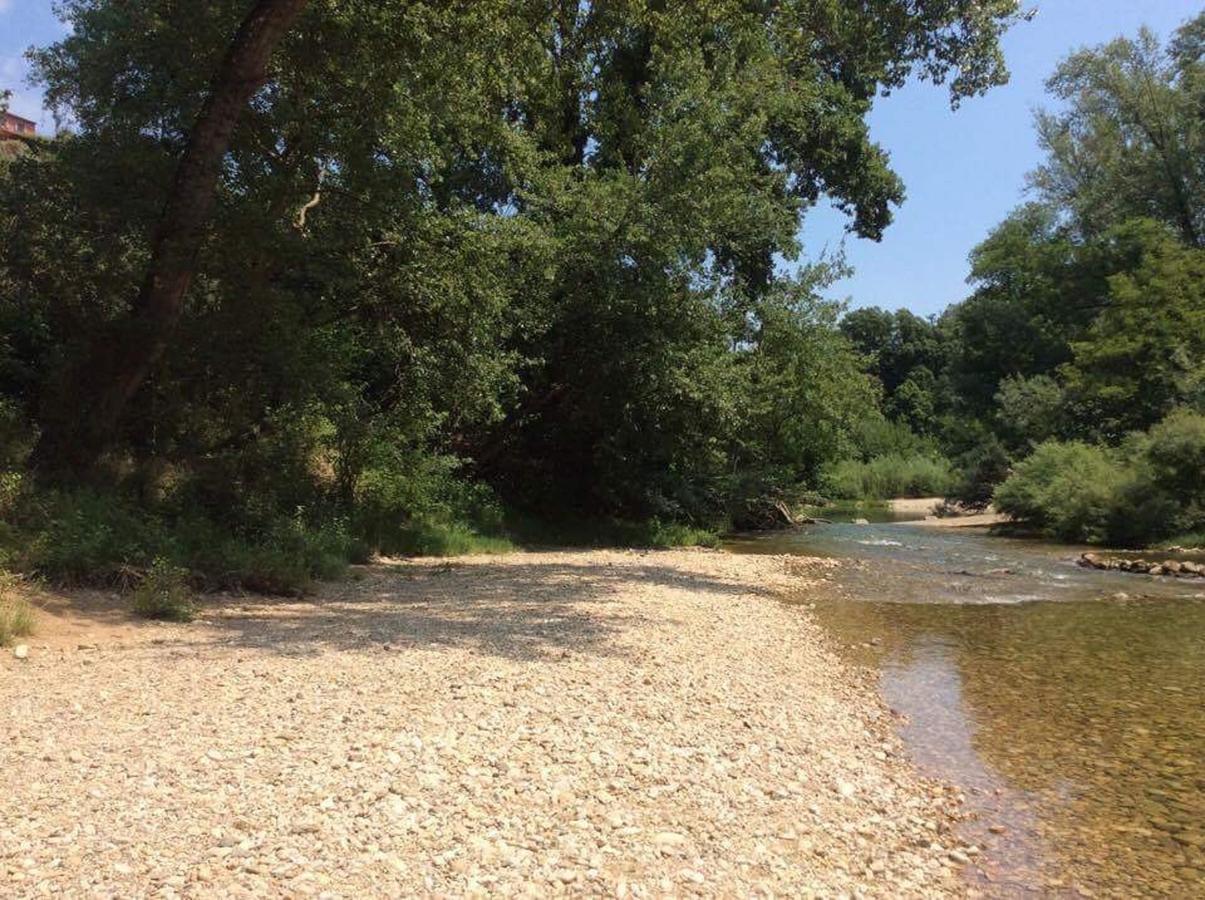 Camping Le Parc Des Monges Ξενοδοχείο Auribeau-sur-Siagne Εξωτερικό φωτογραφία